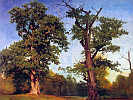Albert Bierstadt: Les
